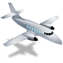 100% Satisfaction of TheraPetic Service