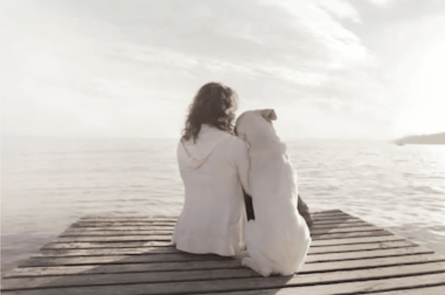 Emotional Support Animal on Dock