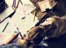 College Emotional Support Animal Housing Dorm