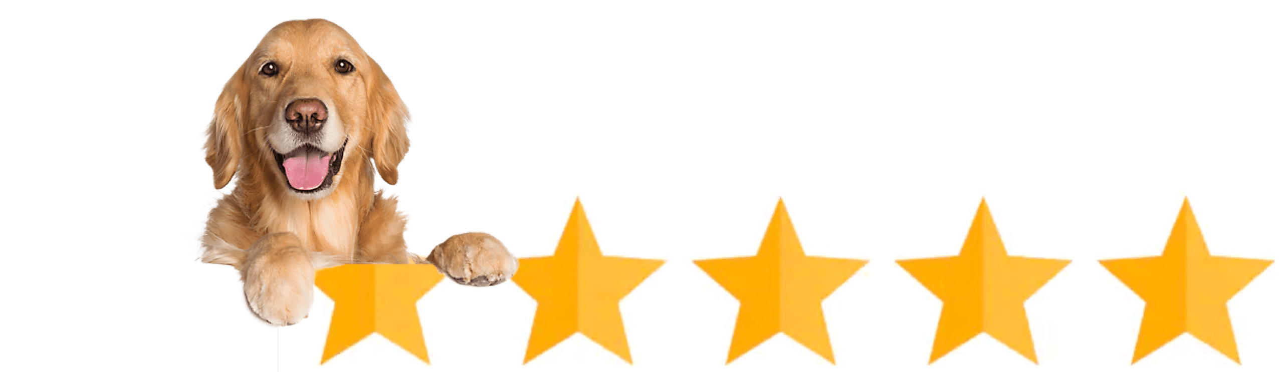 5 star ratings graphic