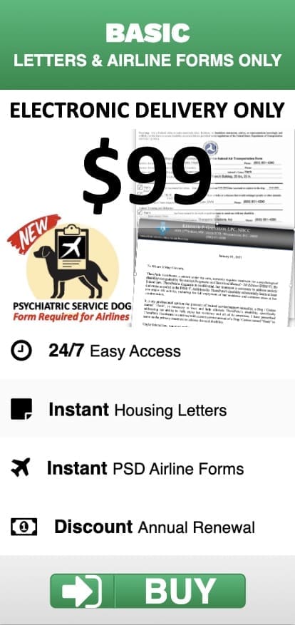 Basic support option overview