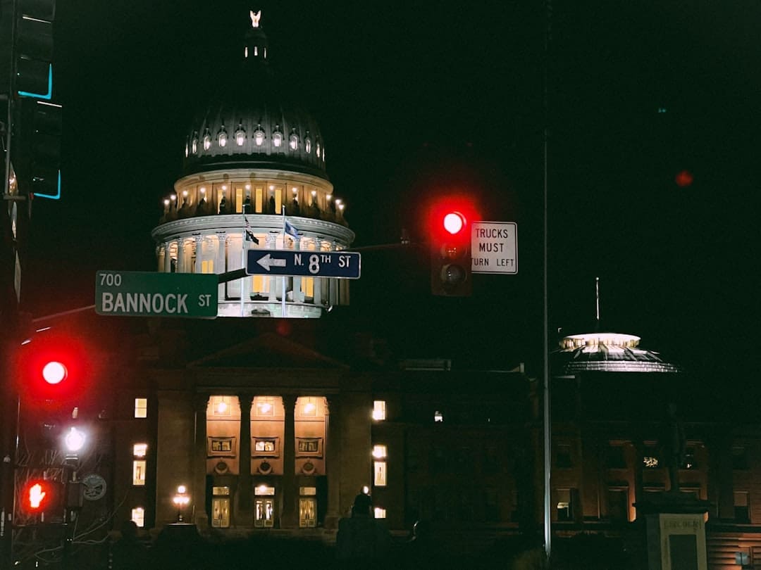 california support animal — white and brown concrete building during nighttime
