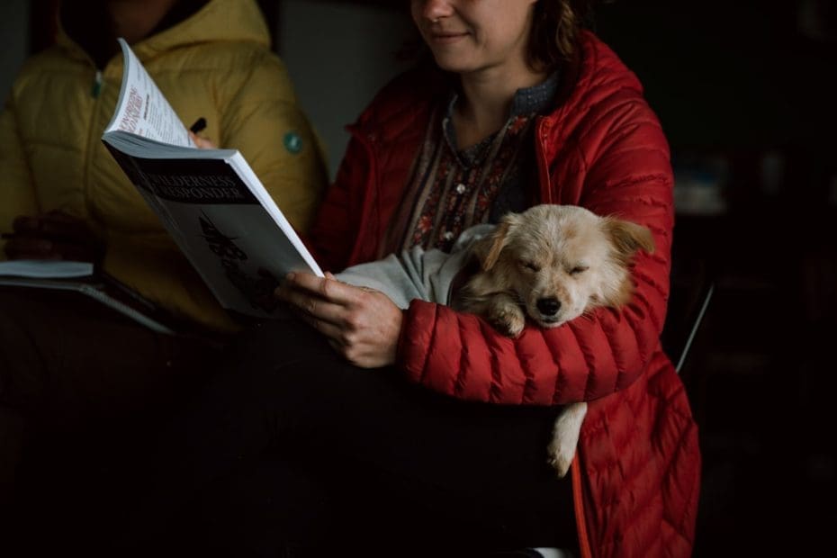 support animal species — 5 Common Support Animal Species Beyond Dogs: What the Law Actually Says