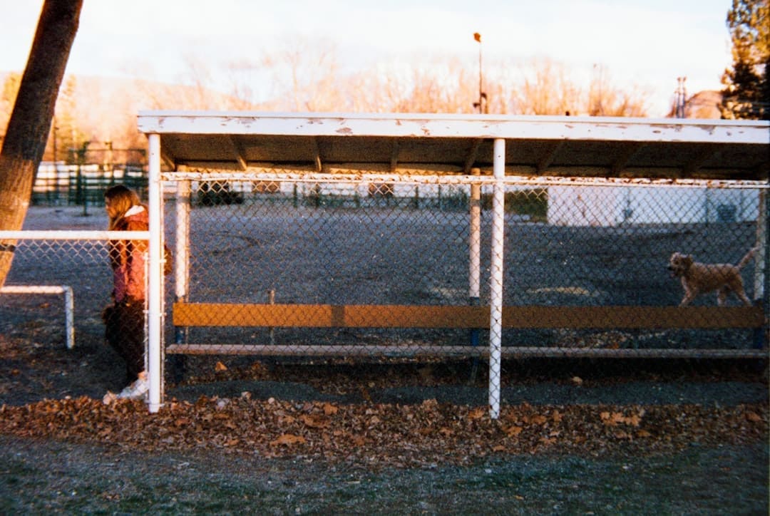 legitimate support animal — A person stands near a bus stop with a dog.