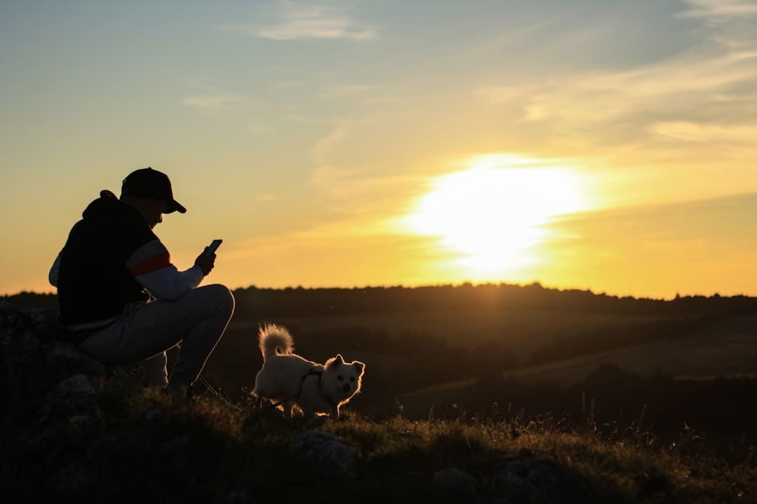 support animals — people sitting on grass field with dogs during sunset
