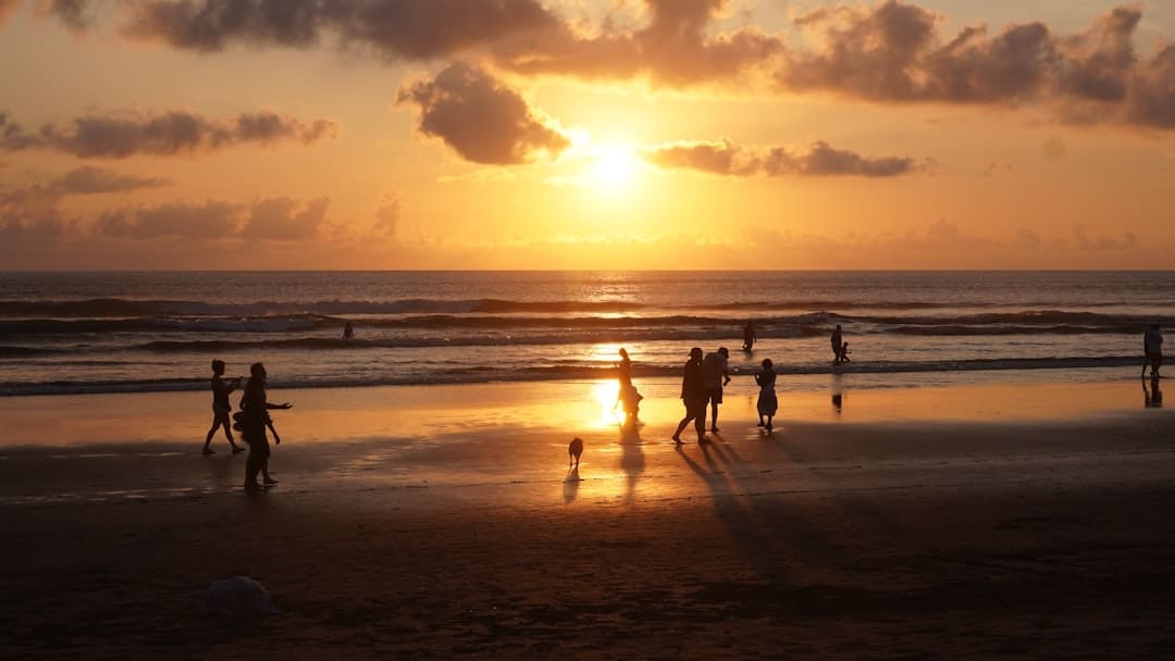 support animals depression — People walking on a beach at sunset