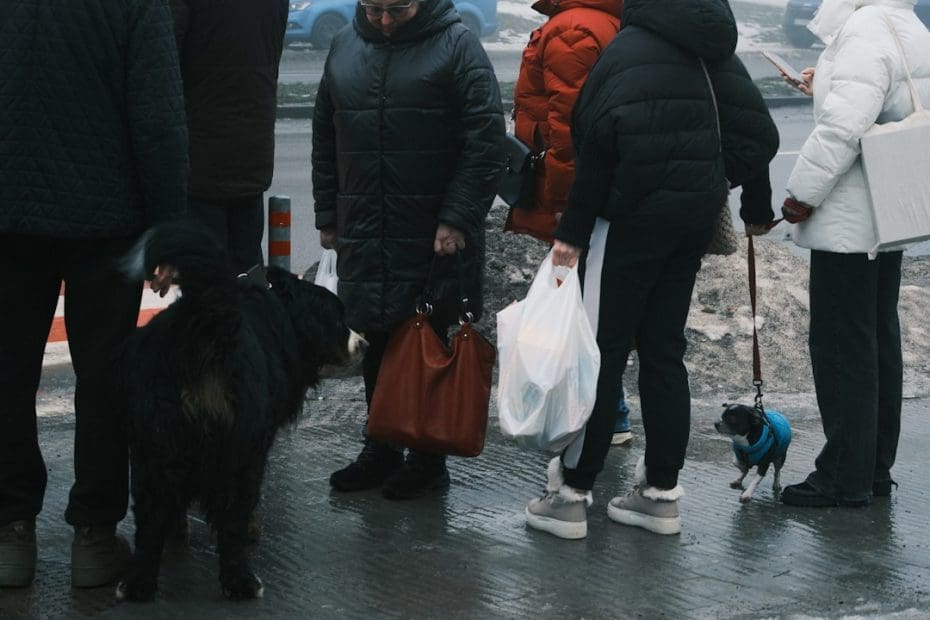 how long does it take to train a service dog — How Long Does It Take to Train a Service Dog? Complete 2026 Timeline Guide