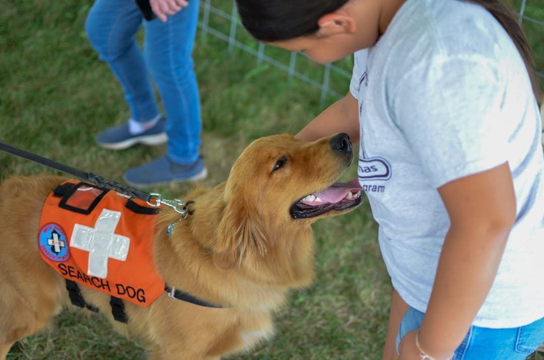 support animal species — a dog on a leash
