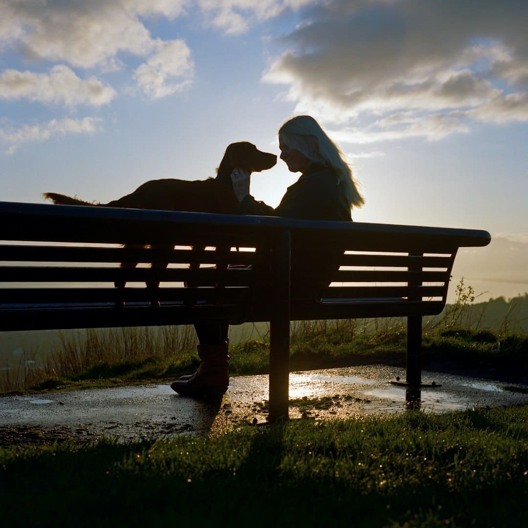 support animals and anxiety — person sitting on brown wooden bench during daytime