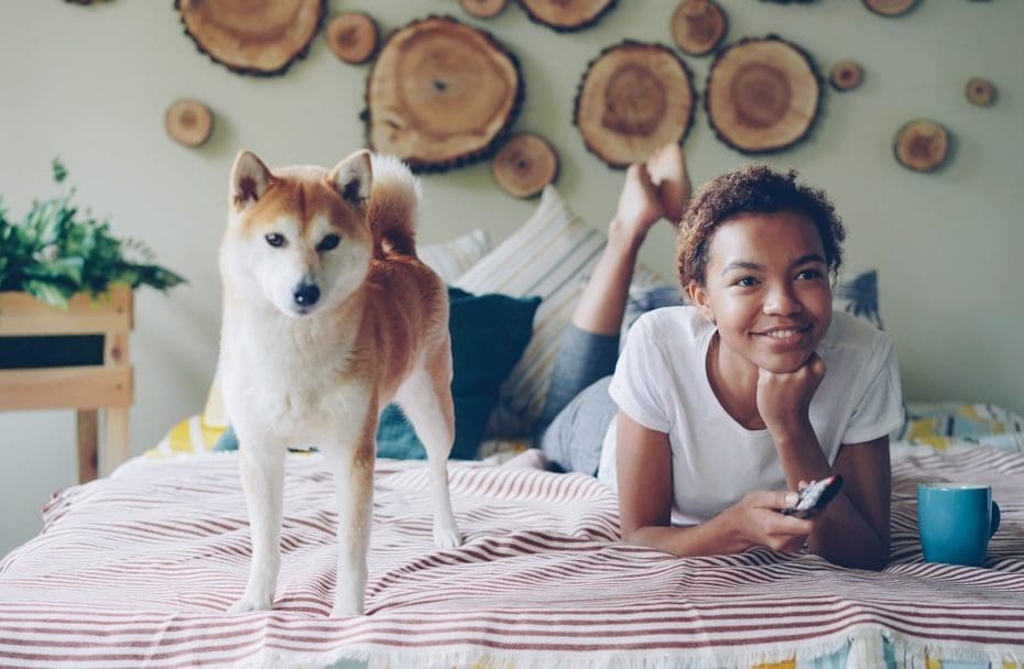 college dorms support animals — College Dorms and Support Animals: What Students Need to Know About Campus Housing Rights