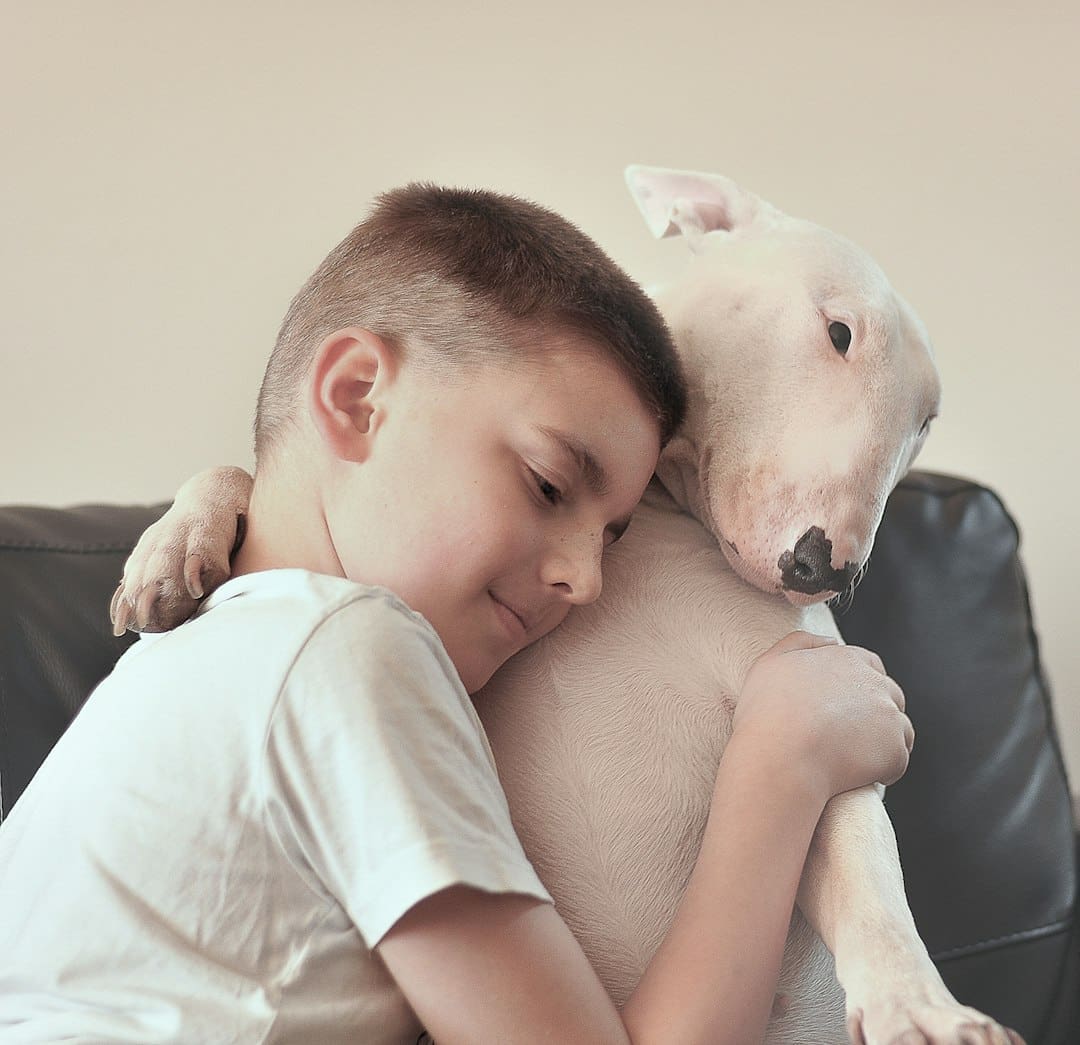 PTSD service dog — kid hugging a white dog in a room