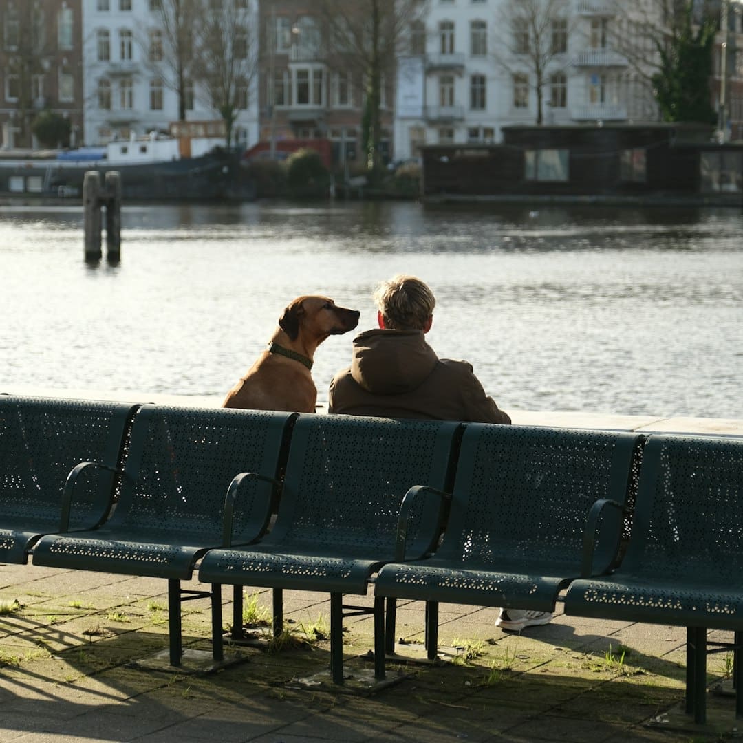 support animal vest — a man and a dog are sitting on a bench